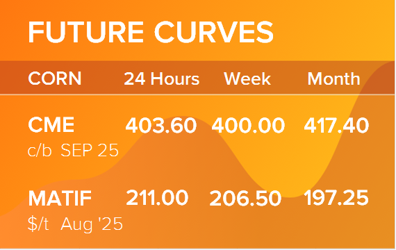 Кукуруза. Фьючерсные кривые на 21 июля 2025