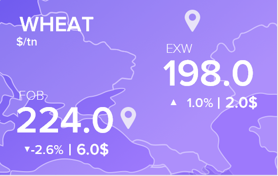 Цены FOB и EXW на 14 июля 2025. Пшеница. Кукуруза