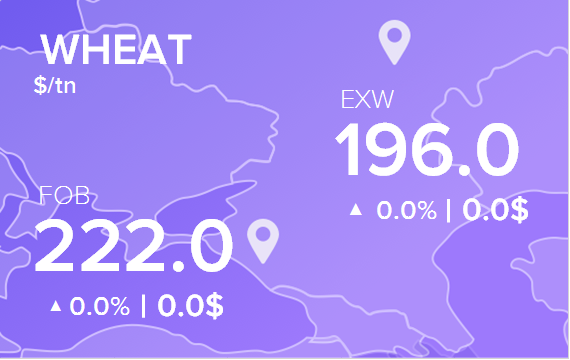 Цены FOB и EXW на 17 июля 2025. Пшеница. Кукуруза