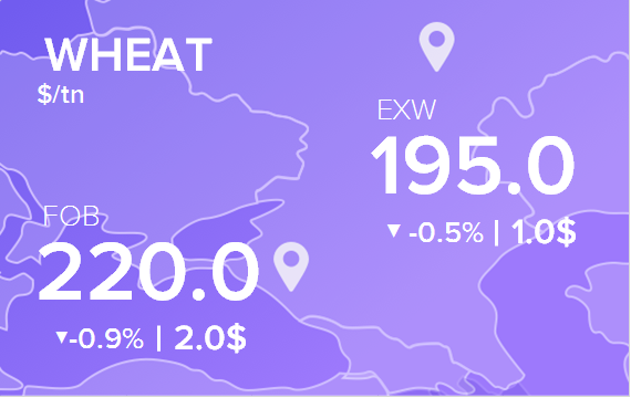 Цены FOB и EXW на 18 июля 2025. Пшеница. Кукуруза