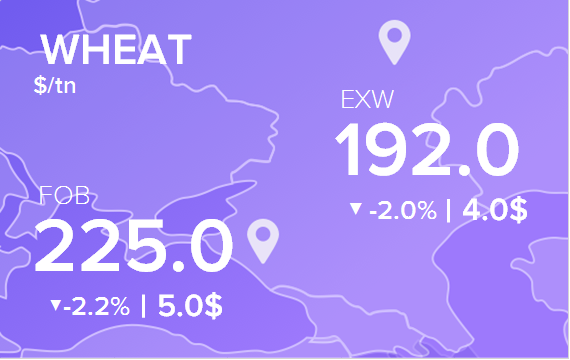 Цены FOB и EXW на 8 июля 2025. Пшеница. Кукуруза