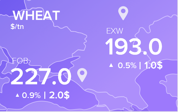 Цены FOB и EXW на 9 июля 2025. Пшеница. Кукуруза
