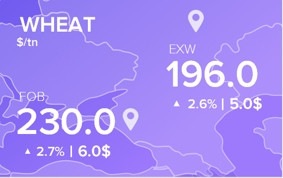 Цены FOB и EXW на 11 июля 2025. Пшеница. Кукуруза
